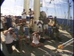 'Boob Cruise Paradise' screenshot nº 6