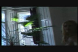 'Voyeur #19, The: Live in Europe Part 6' screenshot nº 62