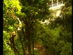 Captura de 'Forever Young' nº 3