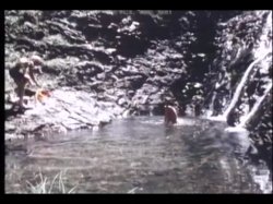Captura de 'Very Best Of Desiree Cousteau, The' nº 117