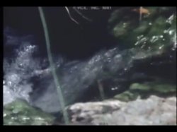 Captura de 'Very Best Of Desiree Cousteau, The' nº 125