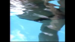 'Secret Lives' screenshot nº 10