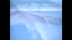 'Secret Lives' screenshot nº 24