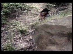 'Good, The Bad and The Horny, The' screenshot nº 91