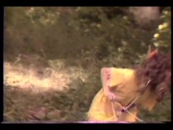 'Good, The Bad and The Horny, The' screenshot nº 114