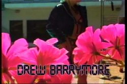 'Decadent Divas 13' screenshot nº 2