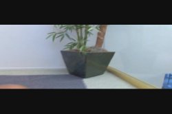 'Earthquake Booty 3' screenshot nº 95