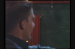 Captura de 'Best Private Penthouse: Greatest Moments 3, The' nº 1