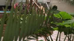 Captura de 'POV Fucking: MILFs & GILFs' nº 38