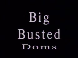 'Big Busted Doms' screenshot nº 1