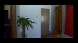 'Street Heat' screenshot nº 131