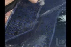 Captura de 'Blame It On The Milkman' nº 62