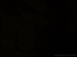 Captura de 'You Fucked The Words Right Outta' My Mouth' nº 17