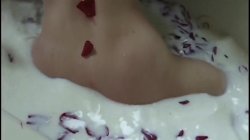 Captura de 'Blowjob XXX Stars 14' nº 67