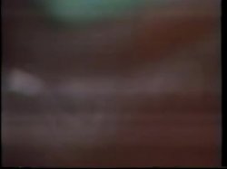 Captura de 'Foxes' nº 37