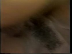 Captura de 'Foxes' nº 30