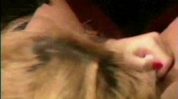 'Pussy Lust 14: Rebecca & Girlfriends' screenshot nº 77