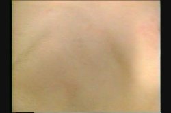 'Hirsute Lovers' screenshot nº 55