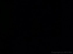 Captura de 'Porn o' Plenty 1' nº 42