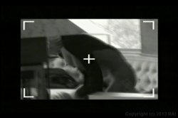 'Upside Down' screenshot nº 132