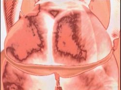 Captura de 'Big White Dicks Fucking Big Chocolate Tits' nº 1