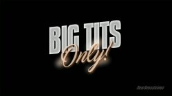 'Big Tits Only!' screenshot nº 1