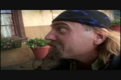 'Kung-Fu Girls 4' screenshot nº 102