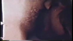 Captura de 'Peepshow Loops 45: 1970's (Color)' nº 40