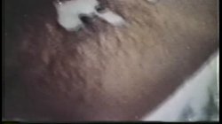 Captura de 'Peepshow Loops 45: 1970's (Color)' nº 54