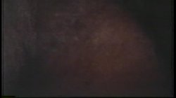 Captura de 'Peepshow Loops 45: 1970's (Color)' nº 60