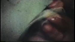 Captura de 'Peepshow Loops 45: 1970's (Color)' nº 105