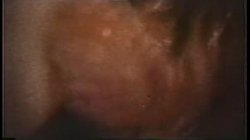 Captura de 'Peepshow Loops 45: 1970's (Color)' nº 118
