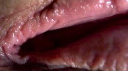 'Der Dildo Orgasmus 6' screenshot nº 14