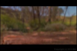 'Land Of The Amazons' screenshot nº 93