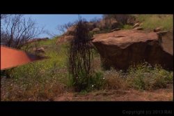 'Land Of The Amazons' screenshot nº 11