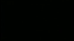 'Peepshow Loops 121: Early 1970's (Color)' screenshot nº 32