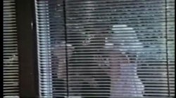 'Peepshow Loops 121: Early 1970's (Color)' screenshot nº 56
