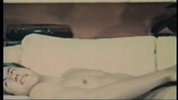 'Peepshow Loops 121: Early 1970's (Color)' screenshot nº 69
