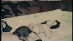 'Peepshow Loops 121: Early 1970's (Color)' screenshot nº 72