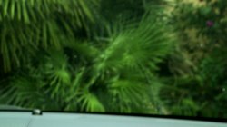 Captura de 'Big Tit A-List Hardcut 5' nº 2