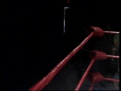Captura de 'American Cocksucking Championship 11' nº 31