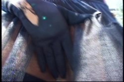 'Fishnet FuckToyz' screenshot nº 3