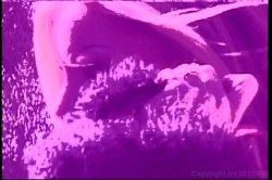 'Pussyman's Spectacular Butt Babes 2' screenshot nº 37