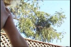 'Pussyman's Spectacular Butt Babes 2' screenshot nº 57