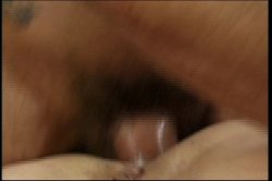 'Pussyman's Spectacular Butt Babes 2' screenshot nº 127