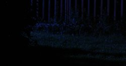 Captura de 'Once in a Blue Moon' nº 1
