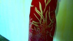 Captura de 'Diva of Sex Mandy Bright' nº 63