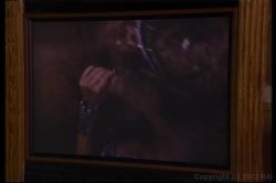 Captura de 'Best of Peter North' nº 61