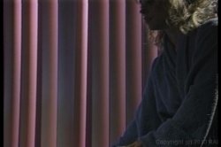 Captura de 'Best of Peter North' nº 63