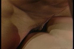 Captura de 'Best of Peter North' nº 91